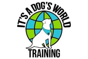 It's a Dog's World Training
